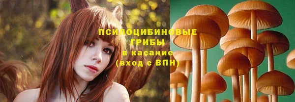 дживик Карталы