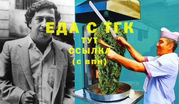 гашик Карпинск