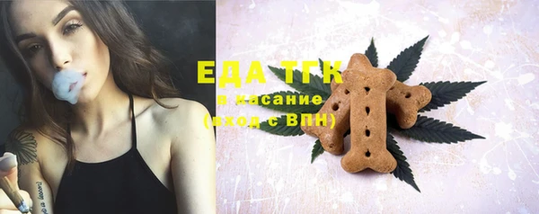 гашик Карпинск