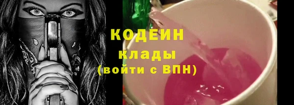 гашик Карпинск