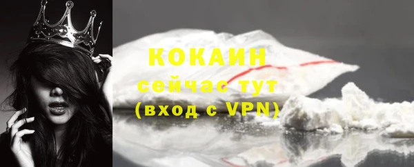 гашик Карпинск