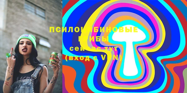 дживик Карталы