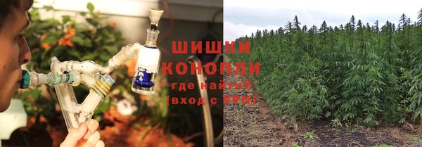 дживик Карталы