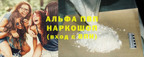 гашик Карпинск