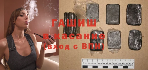 гашик Карпинск