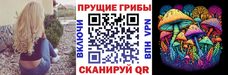 Купить где  Красногорск  Псилоцибиновые грибы прущие грибы 